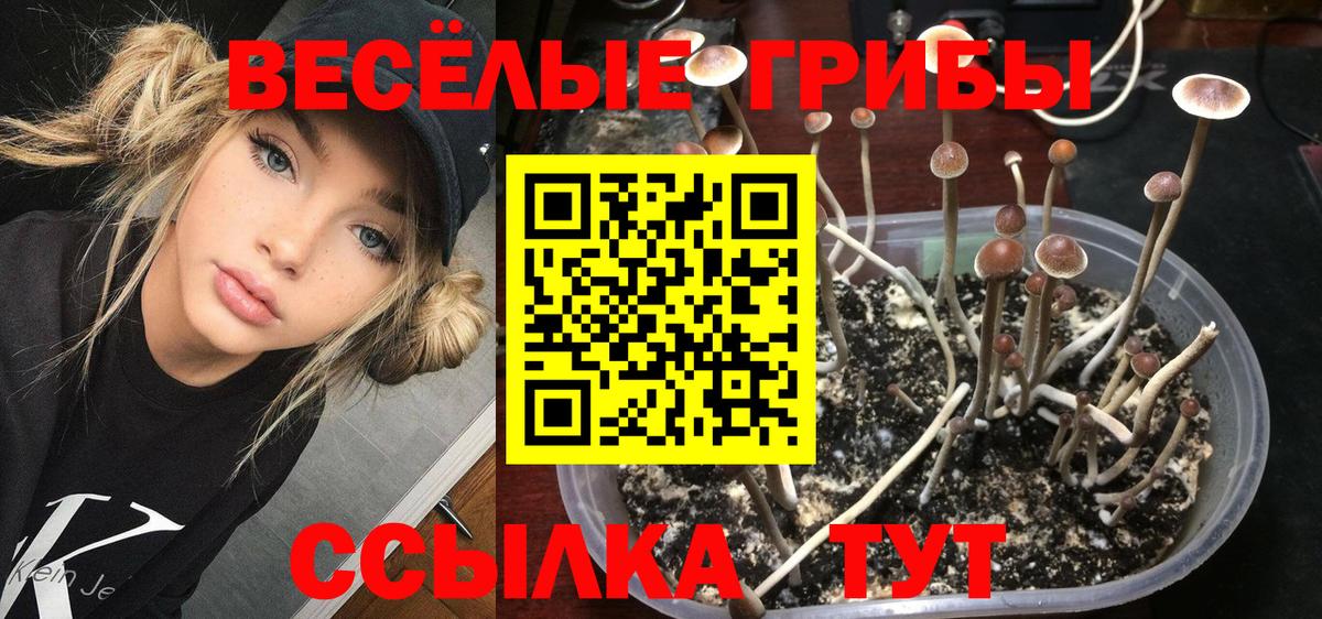 Углич  Галлюциногенные грибы GOLDEN TEACHER  Вход с VPN  Галлюциногенные грибы MAGIC MUSHROOMS 